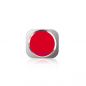 Preview: iPhone 5S Home-Button mit Metall-Ring (6 Farben)