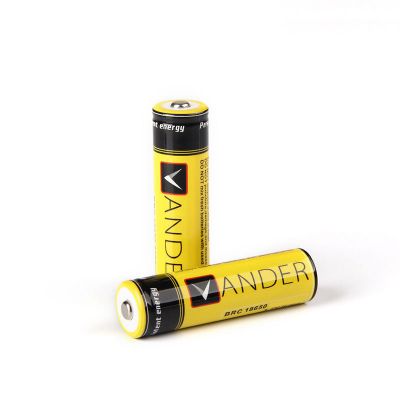 6000mAh Ni-MH 18650 Akku und Ladegerät