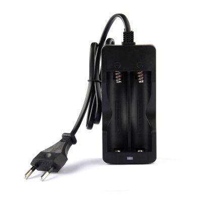 6000mAh Ni-MH 18650 Akku und Ladegerät