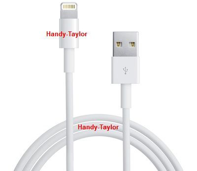 iPhone 5/iPad Mini Lightning Daten-Ladekabel
