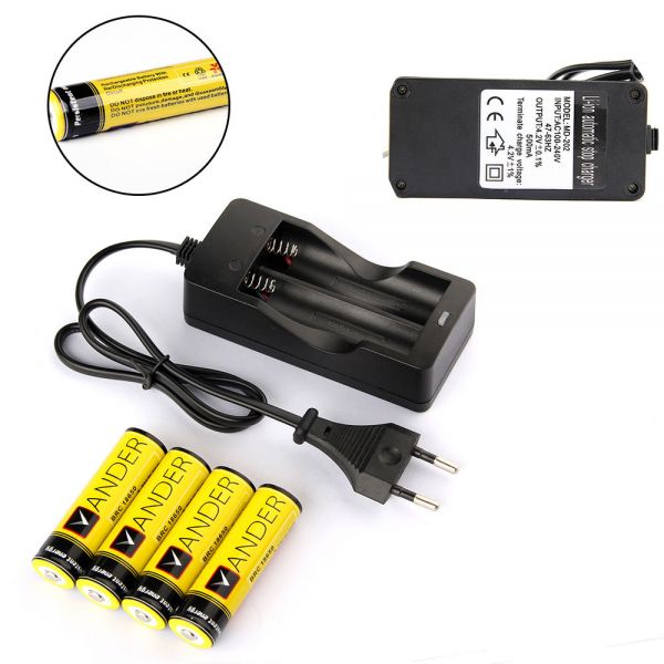 6000mAh Ni-MH 18650 Akku und Ladegerät