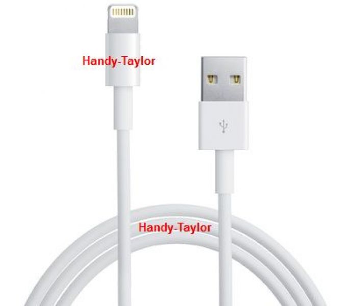 iPhone 5/iPad Mini Lightning Daten-Ladekabel