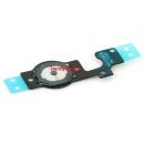 iPhone 5C Home Button Kabel